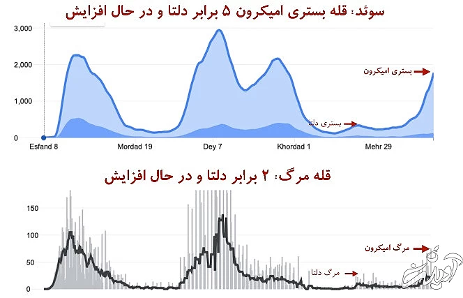 این جدول‌ها را ببینید: مرگ‌ در اثر امیکرون بیشتر از مرگ به خاطر دلتا